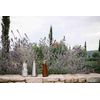 Carafe isotherme inox 1L - Visuel 3